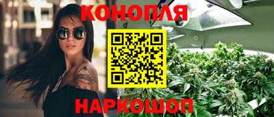 крисы Сланцы