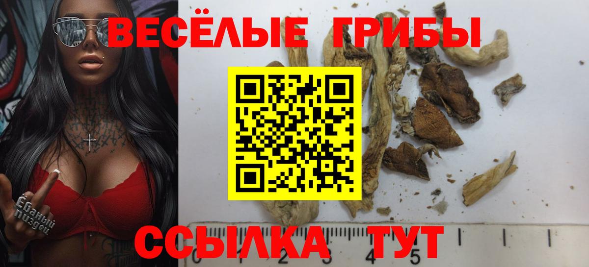 Псилоцибиновые грибы мицелий Белебей